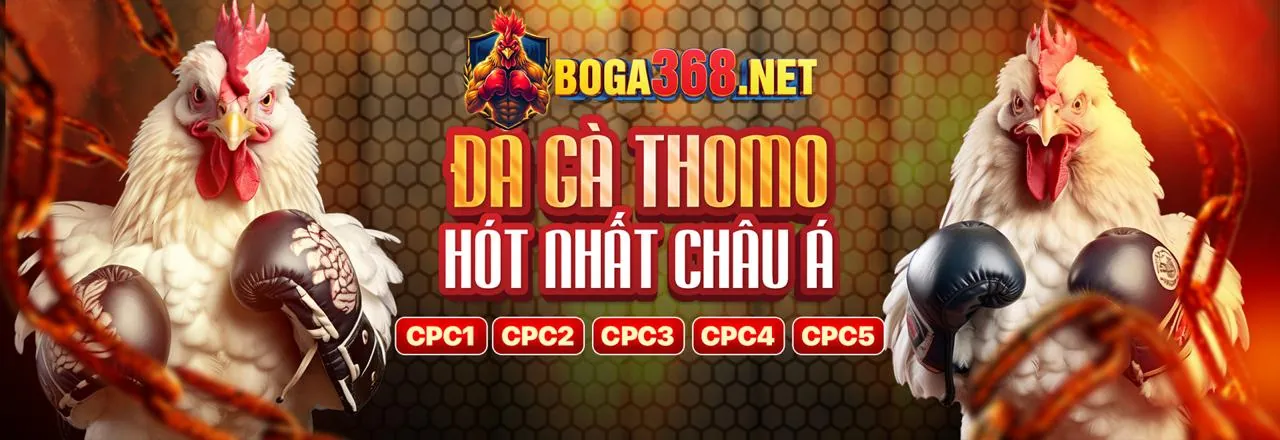 Đá gà trực tuyến 68win18 win
